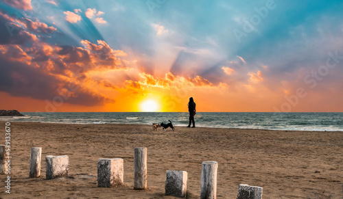 Photography walking the dogs