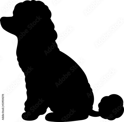 Simple and adorable Poodle dog Silhouette sitting in side view