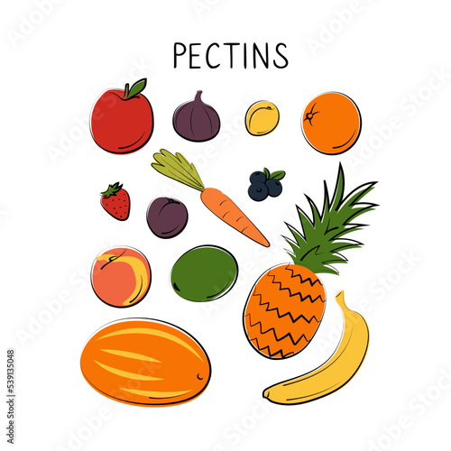 Pectins-containing food. Groups of healthy products containing vitamins and minerals. Set of fruits, vegetables, meats, fish and dairy.