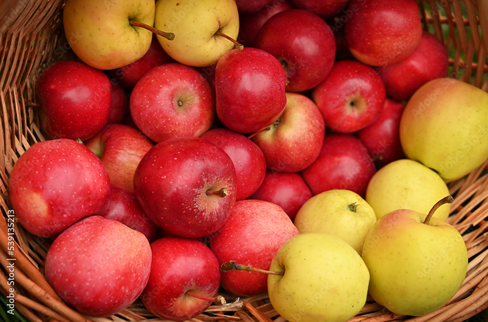 Fresh ripe red apples as background Fresh ripe red apples as background
