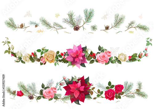 Collection of panoramic headers. Roses, poinsettia flower (New Year Star), pi...