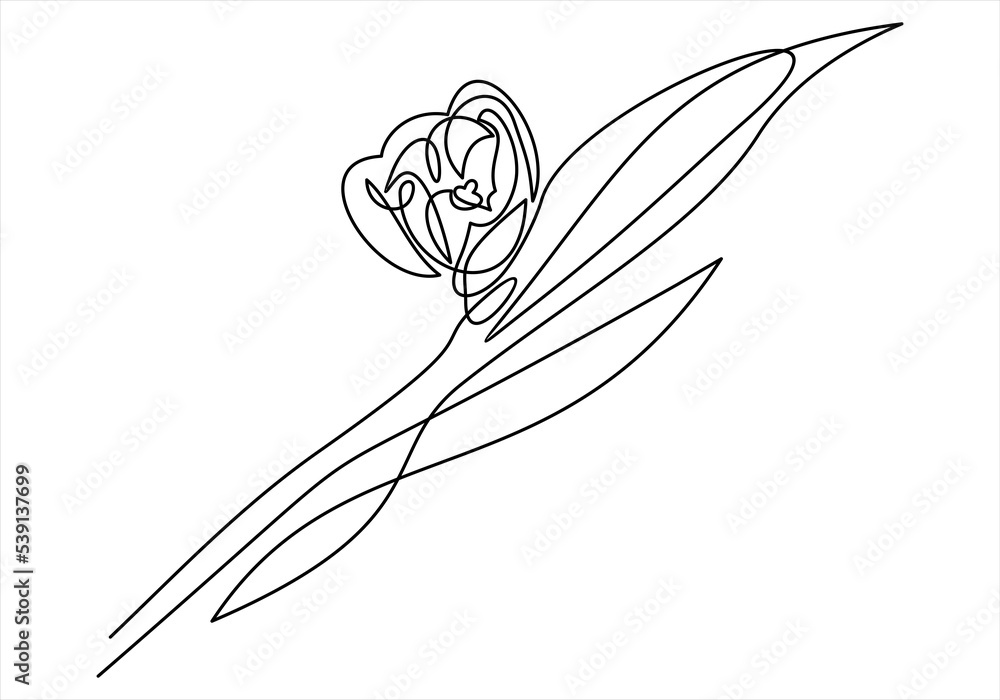 Fototapeta premium Tulip one line drawing. Continuous line flower. 