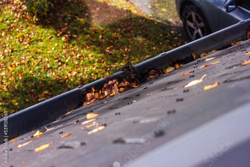 A portrait of a roof gutter with some fallen leafs in it during autumn. This is a annual chore during fall season, else rain water will not run away, because the gutter is clogged.