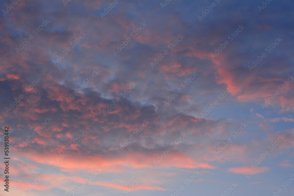 dramatic evening sky with purple and red clouds isolated