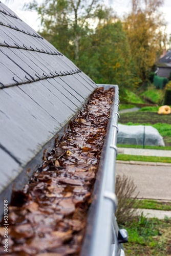A portrait of a clogged roof gutter with a lot of fallen autumn brown leaves in it and water which cannot be drained. This is an annual chore during fall season.