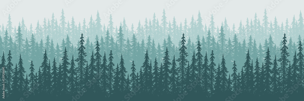 Forest coniferous trees horizontal seamless landscape