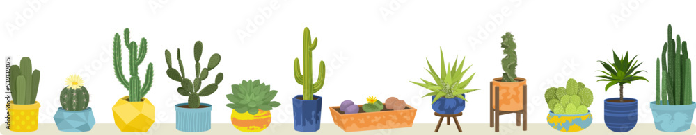 Cactuses Flat Colored Concept Cactuses Flat Colored Concept