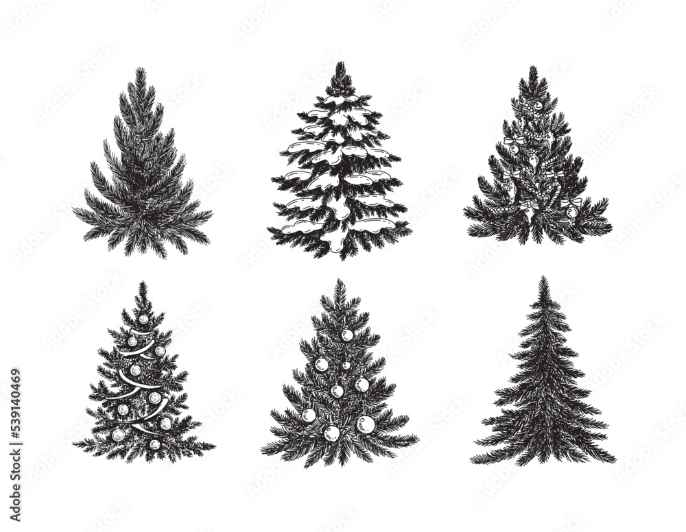 Fototapeta premium Christmas tree hand drawn illustration 