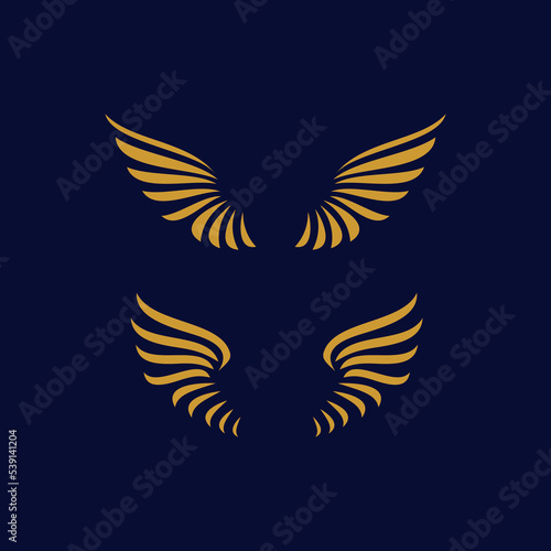 Illustration design of two pairs of yellow wings on a dark background.