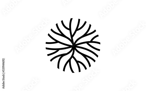 Illustration vector graphic of abstract life root on white background vector logo design template photo
