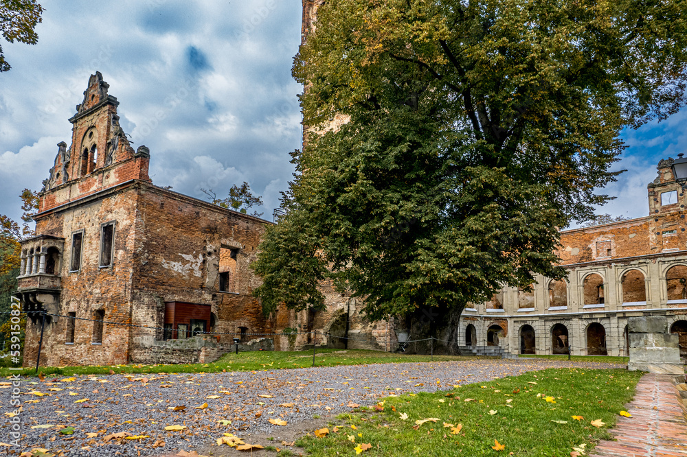 Ruiny zamku w Tworkowie na Śląsku w Polsce, panorama z lotu ptaka jesienią