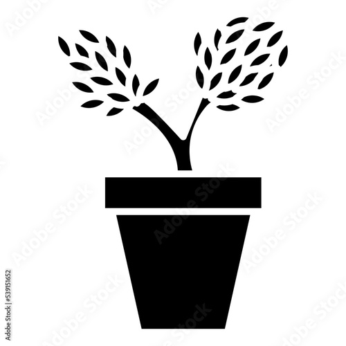 flower pot icon