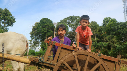 Adorable kids in a oxcart on the farm