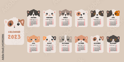 Cute calendar with cats. 2023 calendar with cute cats. Minimalistic calendar for the year for print.