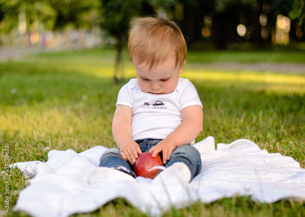Kid boy blond 2 years old in summer park on the grass Kid boy blond 2 years old in summer park on the grass