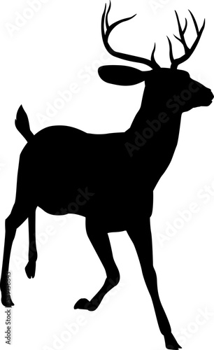 Deer Animal Silhouette