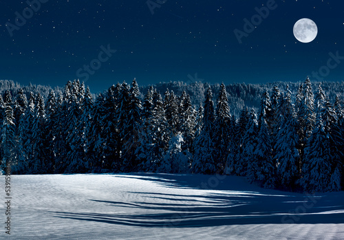 Verschneite winterlandschaft mit Vollmond