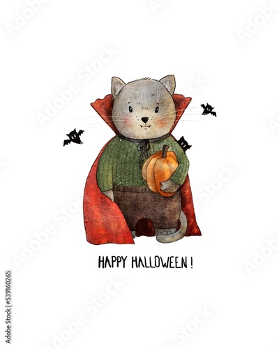Happy Halloween digital illustration of a cat in a costume of dracula with pumpkin in his hand and bats around in cartoon style. Great for cards, posters, stickers  © tigresa_real