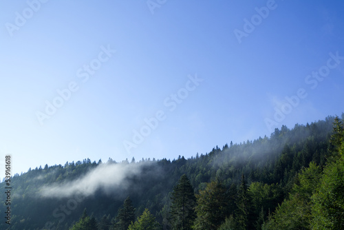 View of the tops of a coniferous forest in the mountains on which clouds were found against the background of the morning blue sky