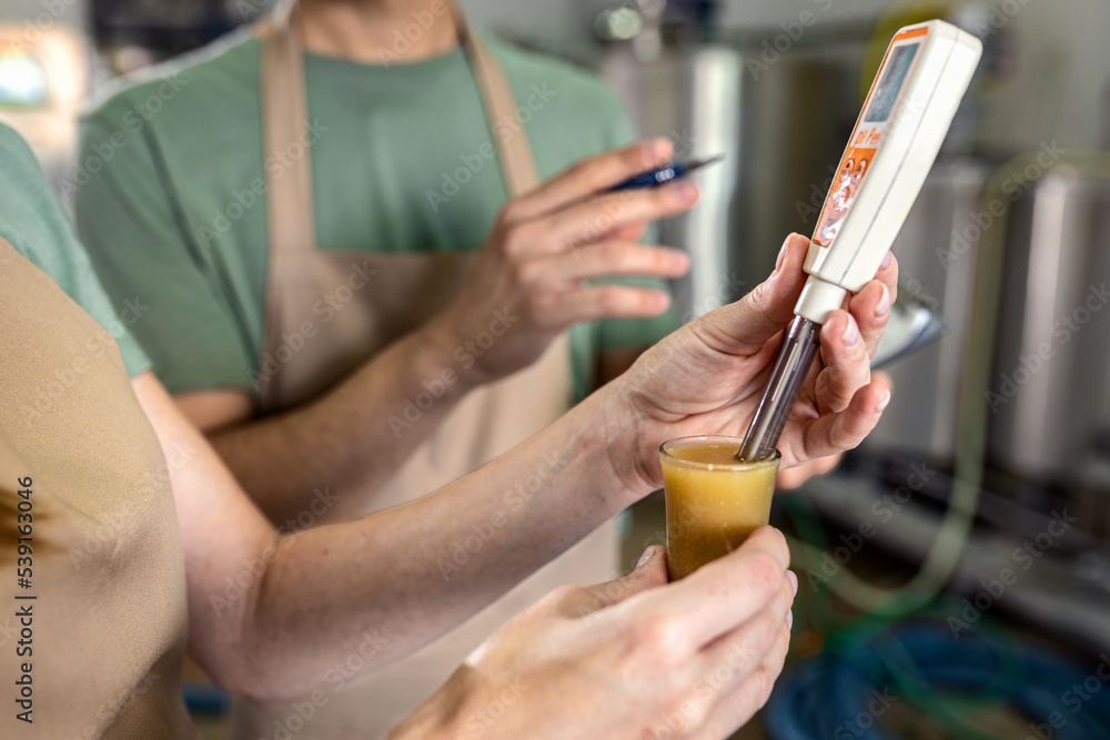 Obraz premium Man and woman working in craft brewery checking the pH value of the beer.