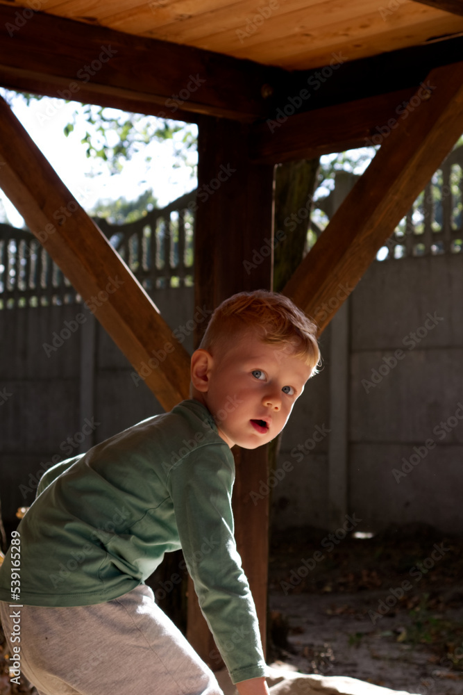 Portrait of a little boy in the sunlight Portrait of a little boy in the sunlight