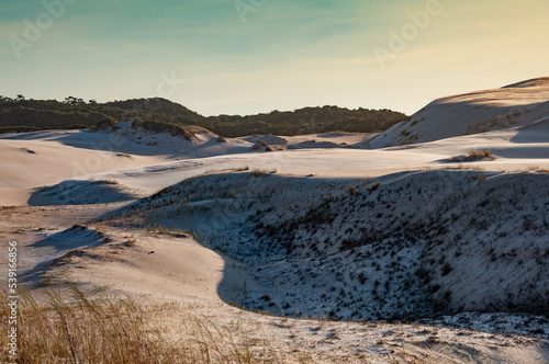 landscape in the dunnes in brazil