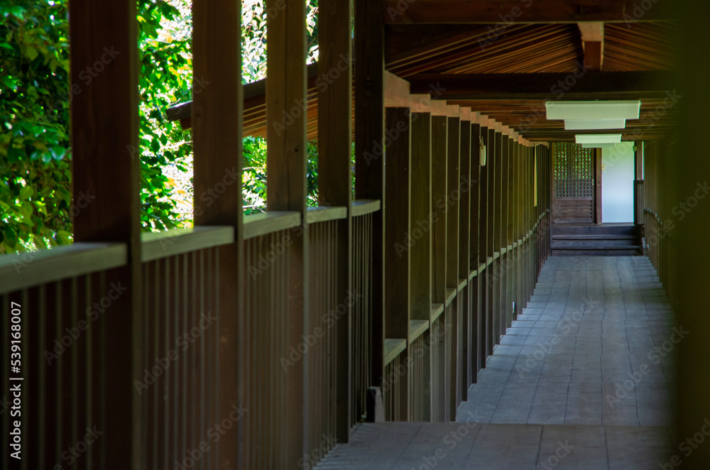 Naklejka premium wooden bridge