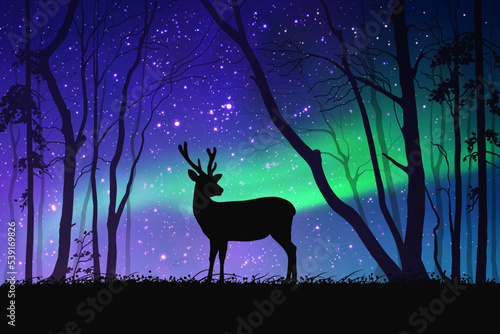 Lonely deer in misty forest. Animal silhouette. Green polar lights