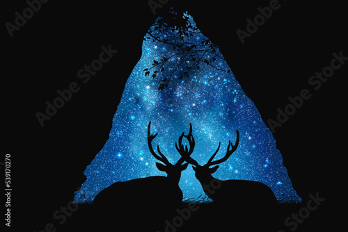 Two deers in cave. Animal family silhouette. Milky Way at starry sky