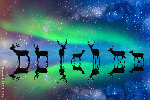 Deer family on frozen lake. Animal herd silhouette. Aurora borealis