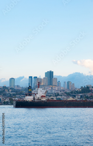 Panorama image Skyscrapers of istanbul behind the Bosphorous, financial district of Turkey next to a big bridge © Pablo