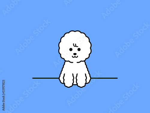 おすわりしているビションフリーゼのイラスト