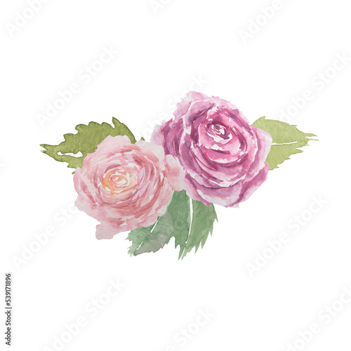 Watercolor hand drawn vintage pink roses with green leaves isolated on white background.
