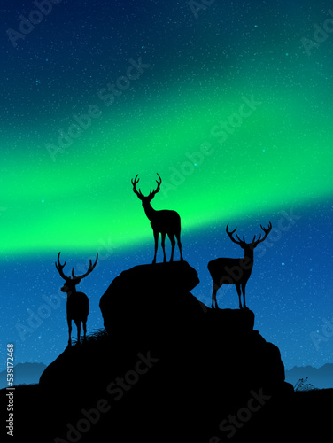 Deer family on rocks. Wild animal silhouettes. Green aurora borealis