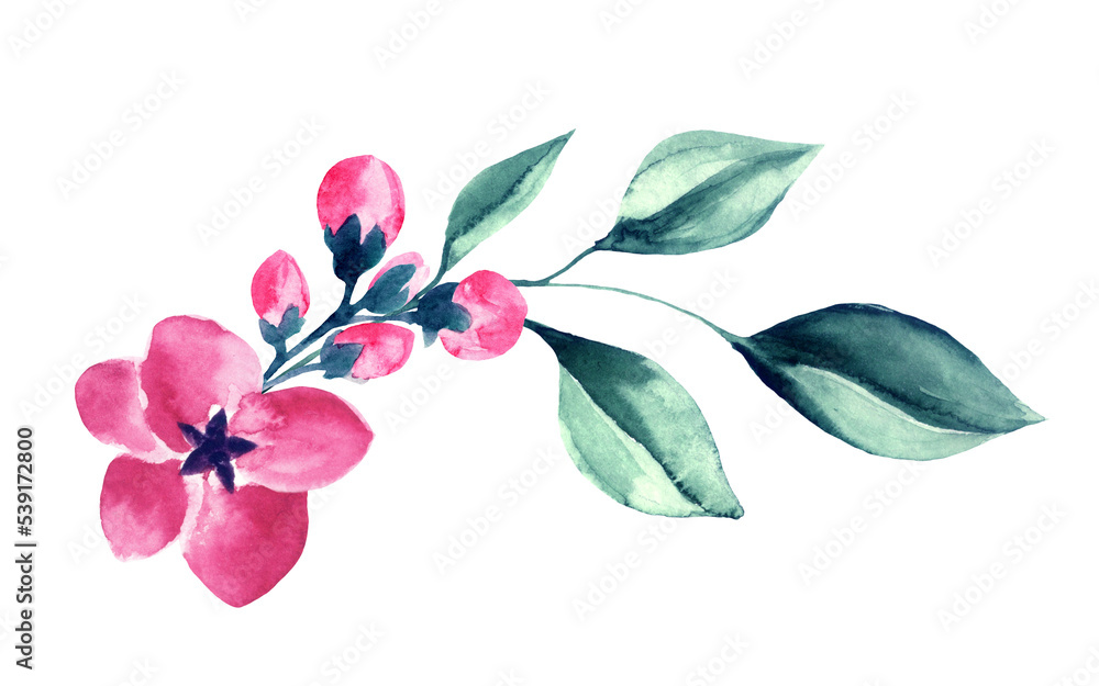 Fototapeta premium Pink Green Floral Watercolor Arrangement
