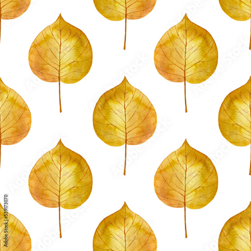 Seamless pattern of yellow watercolor leaves on white background. Autumn foliage digital paper design. Hand drawn fabric and wallpaper print with botanical elements