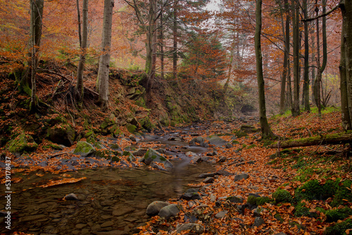Fototapeta Naklejka Na Ścianę i Meble -  Szepit waterfall on the Hylaty stream. Autumn in the Bieszczady Mountains