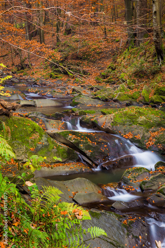 Fototapeta Naklejka Na Ścianę i Meble -  Szepit waterfall on the Hylaty stream