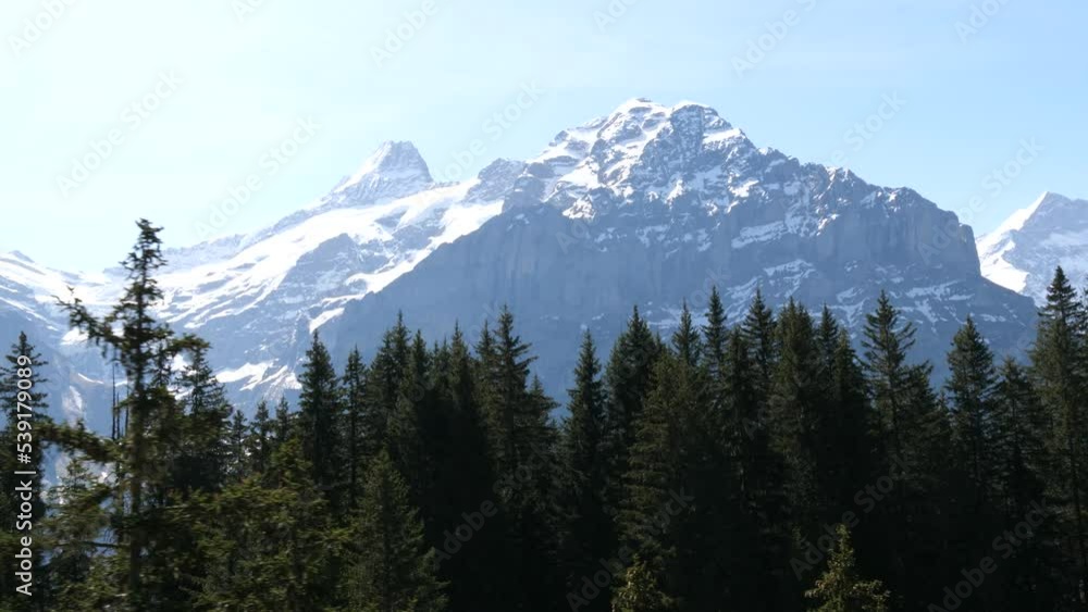 Forest and Alps mountains seen from a cable car Forest and Alps mountains seen from a cable car
