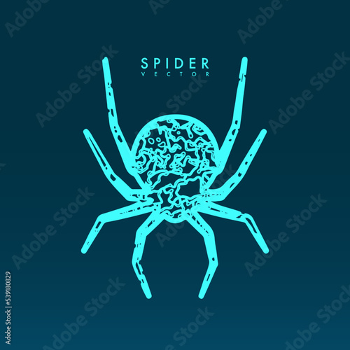 Abstract spider illustration.