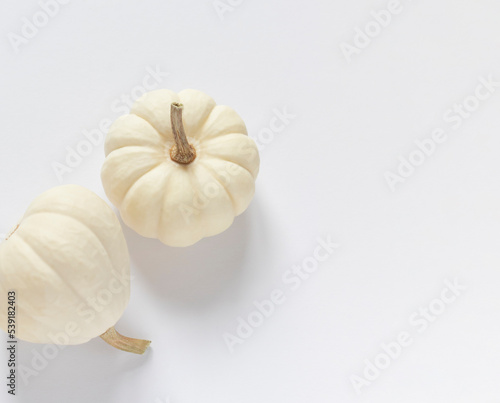White pumpkins on the white table. Thanksgiving or Halloween composition top view. Copy space 