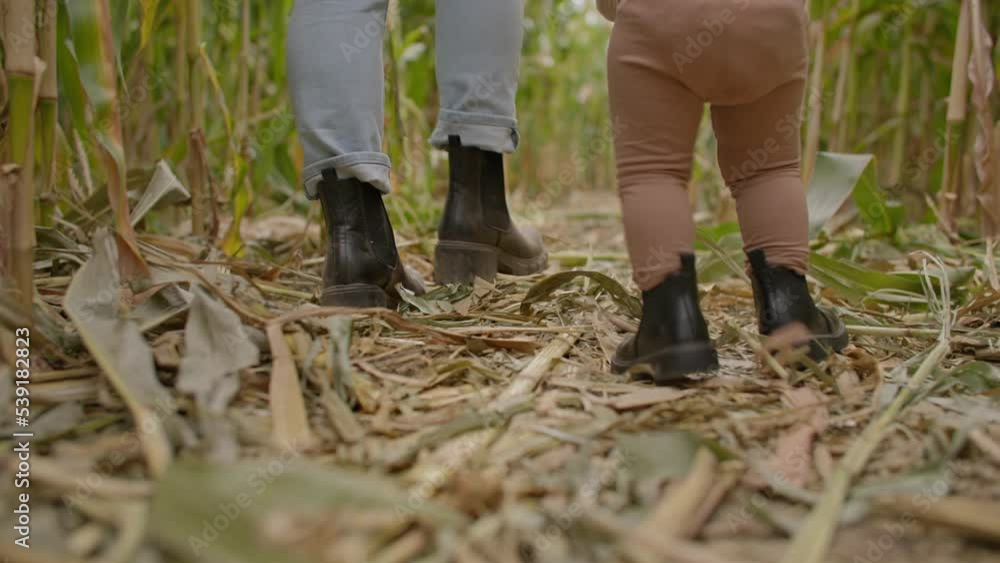 Low angle of mother and daughters feet walking through corn field Low angle of mother and daughters feet walking through corn field