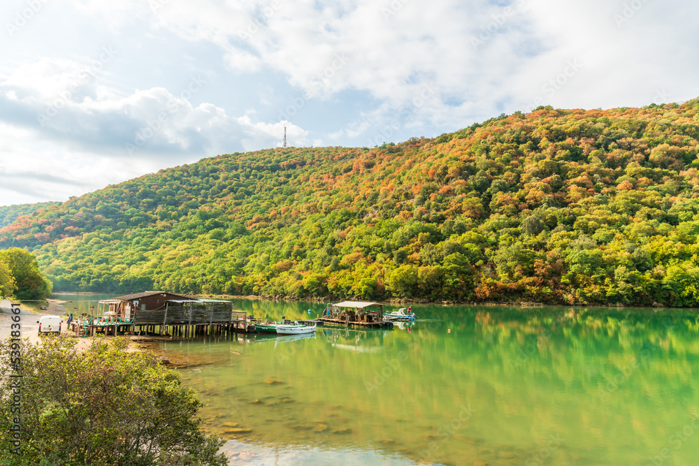 Lim bay in summer, Croatia