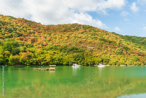 Fotografie Lim bay in summer, Croatia