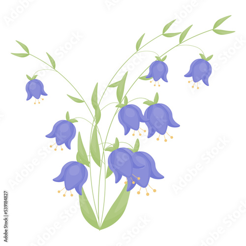 Bouquet of blue bell flowers isolated on a white background. Vector illustration.