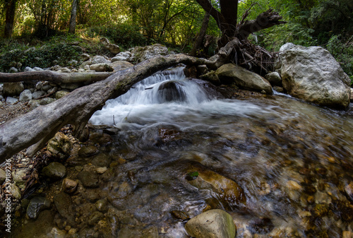 Tusciano river forest scenery in cilento