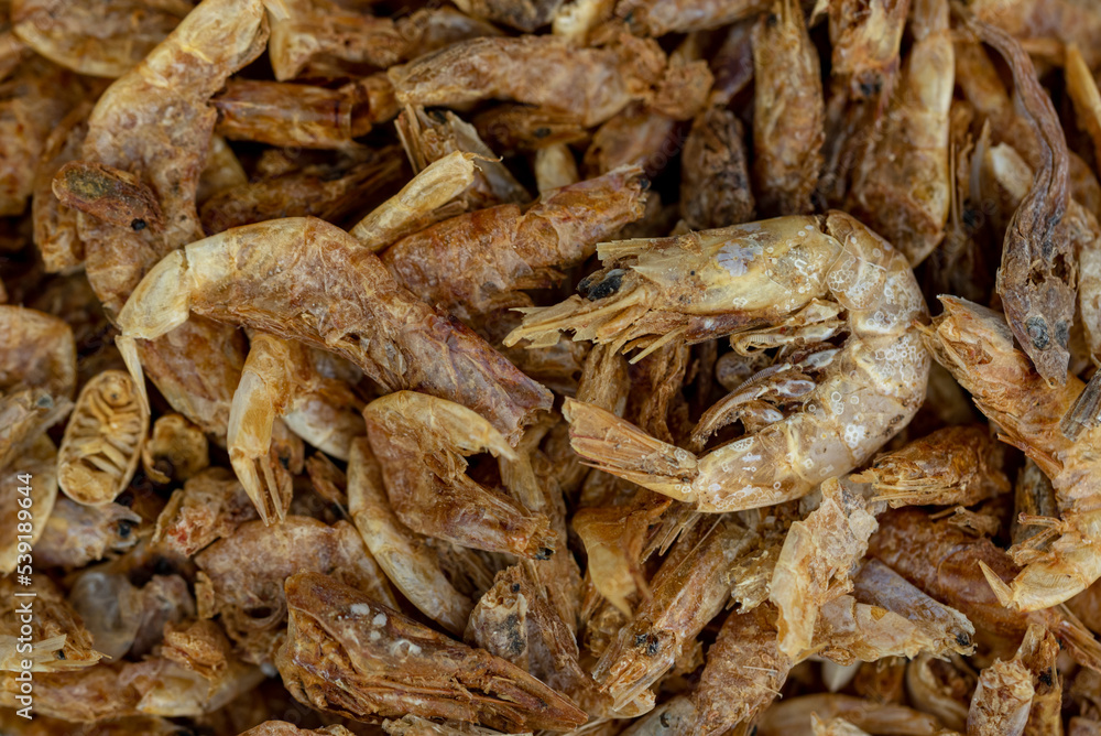 the Dried Shrimp Pet Food