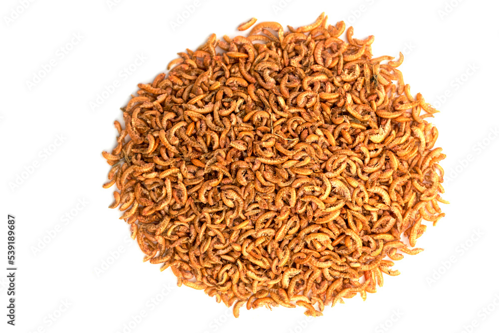 Chubby Dried Gammarus - Siberian Shrimps for Fish Chubby Dried Gammarus - Siberian Shrimps for Fish