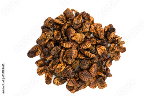 the dried silkworm larva - animal food