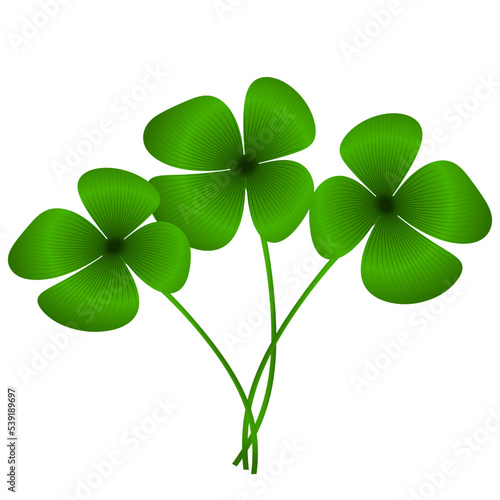 four leaf clover vector